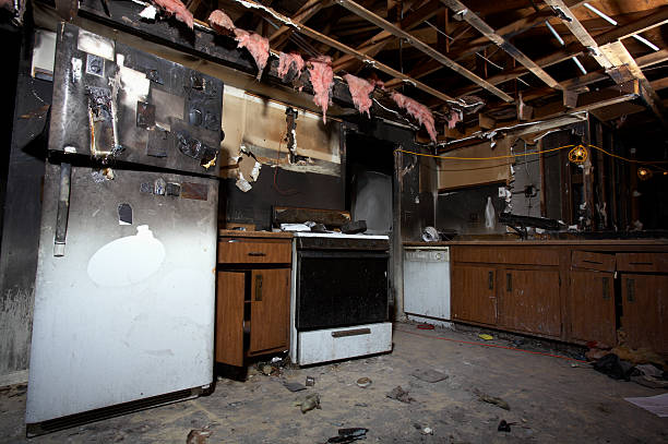Licensed Fire Damage Removal service in Silver Lake, MN - Fire Damage Flint